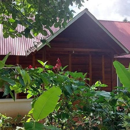 Cabanas Yax-Ha Arroyo Agua Azul Exteriér fotografie