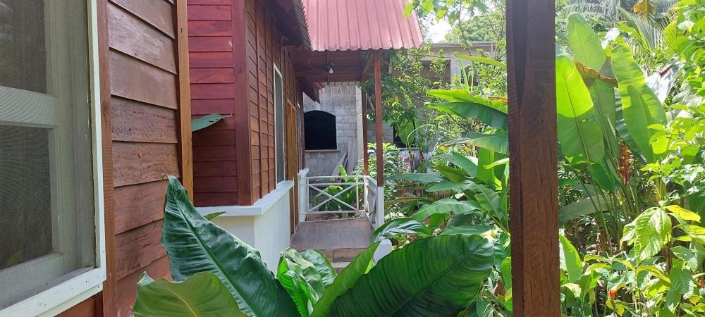 Cabanas Yax-Ha Arroyo Agua Azul Exteriér fotografie