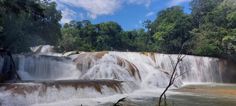 Cabanas Yax-Ha Arroyo Agua Azul Exteriér fotografie