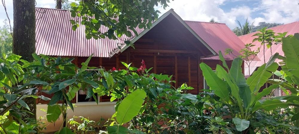 Cabanas Yax-Ha Arroyo Agua Azul Exteriér fotografie